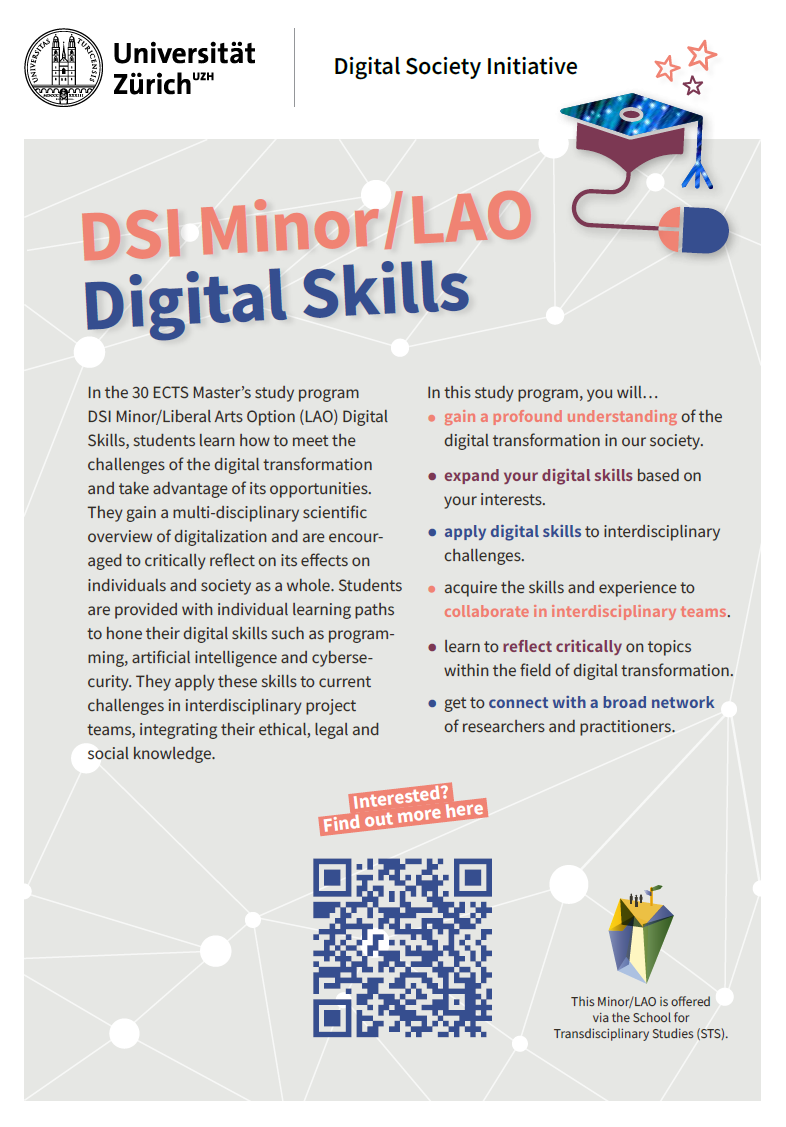 DSI Minor/LAO Digital Skills Flyer und Model Curriculum