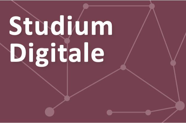 Studium Digitale (BSc)