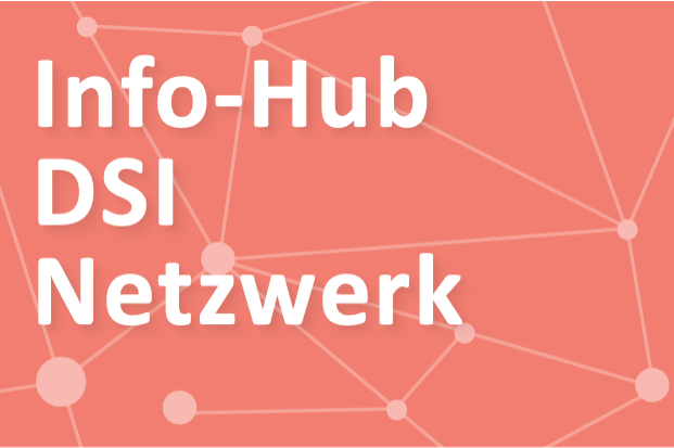 Info-Hub DSI Netzwerk